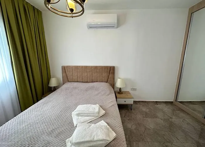 1+1 Melis Alsancak
